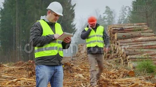 森林官员在一堆木头附近的森林里谈话视频