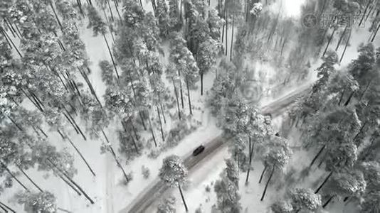 雪林中的冬季乡村道路，无人驾驶飞机鸟瞰视频