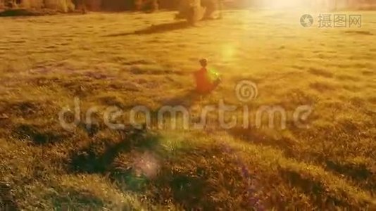 低空径向飞行超过运动瑜伽男子在完美的绿草。 在山上日落。视频