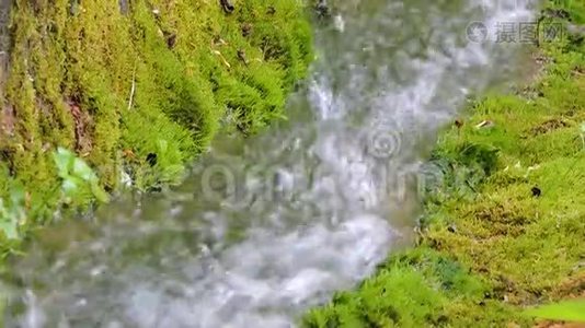 美丽的山溪瀑布河流淌在绿色的夏林中视频
