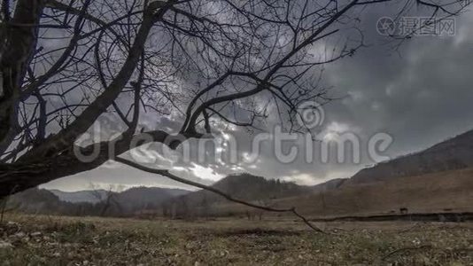 死亡树和枯黄的草在云和太阳光线的蒙天景观的时间流逝。 水平滑块运动视频