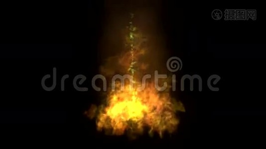 火焰动画背景。视频
