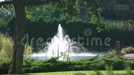 喷泉和夏季自然..视频