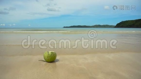 沙滩上的绿椰子。视频
