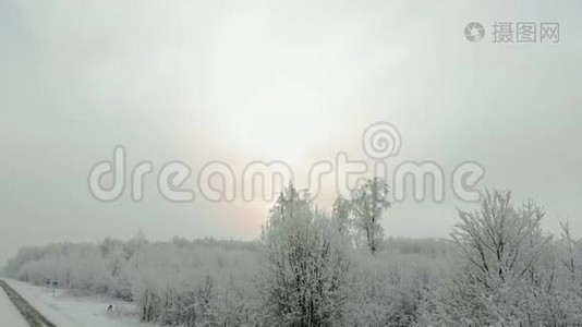 雪林中的冬季乡村道路，无人驾驶飞机鸟瞰视频