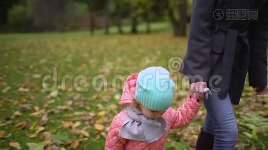 快乐年轻美丽的妈妈和小女儿在秋天公园散步。 一个快乐的母亲和一个小女儿视频