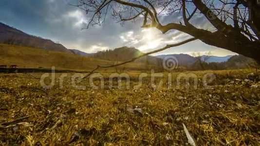 死亡树和枯黄的草在云和太阳光线的蒙天景观的时间流逝。 水平滑块运动视频