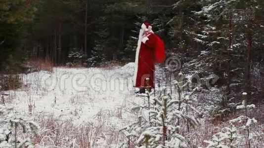 白雪皑皑的树林里快乐的圣诞老人视频