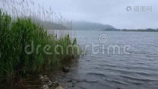 日本富士山的川崎湖-著名的富士山视频