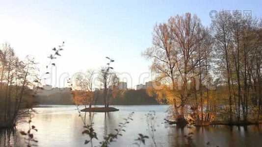 美丽的秋天公园和河流视频