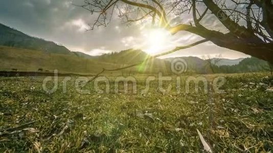 死亡树和枯黄的草在云和太阳光线的蒙天景观的时间流逝。 水平滑块运动视频