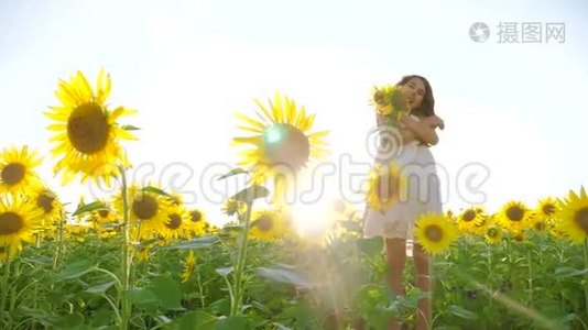 快乐的小生活方式女孩在夏天向日葵的阳光下。 美丽的日落小女孩向日葵视频