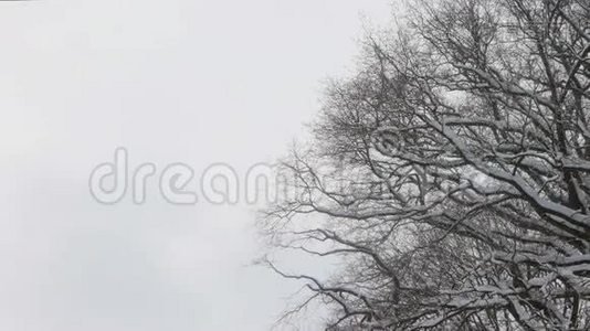 大雪湖——效雪.视频