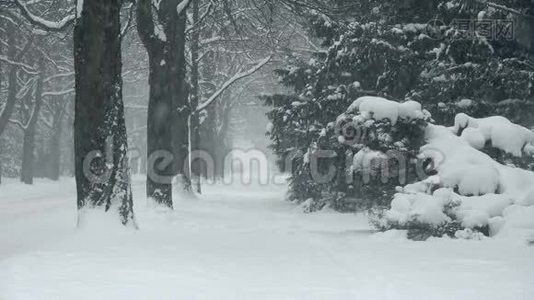 大雪湖——效雪.视频