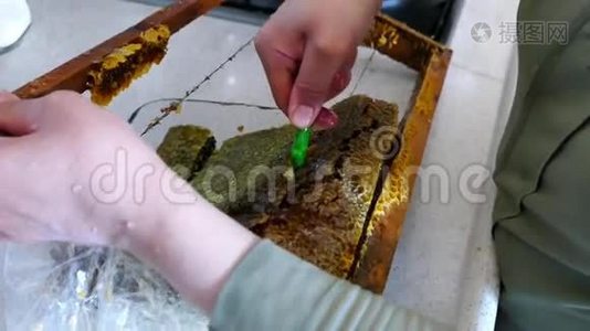 纯天然蜂蜜对人体健康，蜂窝为早餐，在玻璃碗蜂窝蜜，视频