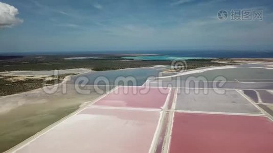 玫瑰加勒比海盐湖博内尔岛空中无人机顶视图4K UHD视频视频