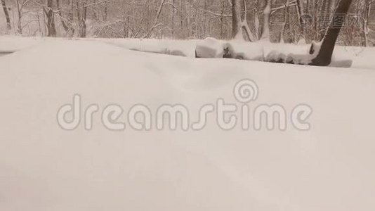 下雪的冬季公园视频