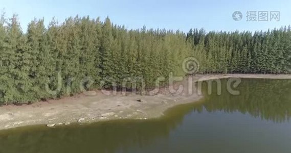 热带河流绿林鸟瞰图视频