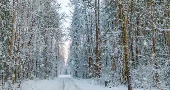 CINE MAGRAPH，4k，冬季森林降雪视频