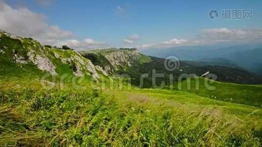 山草甸风景.视频