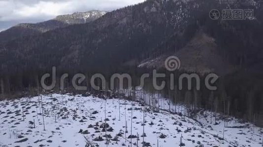 斯诺山斯洛伐克滑雪冬季亚斯纳欧罗帕空中无人驾驶飞机俯视图视频