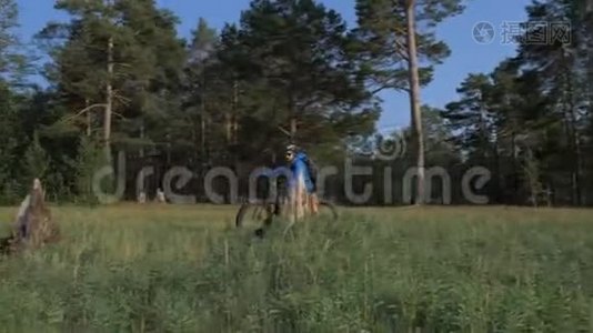 在夏天骑在森林里的胖自行车也叫胖自行车或胖轮胎自行车。视频