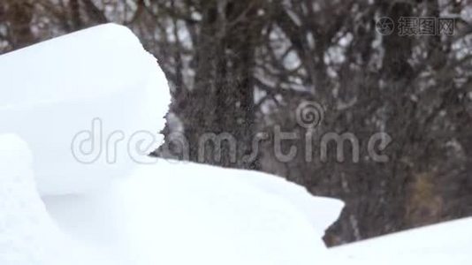 冬天在森林里下雪，暴风雪，暴风雪视频