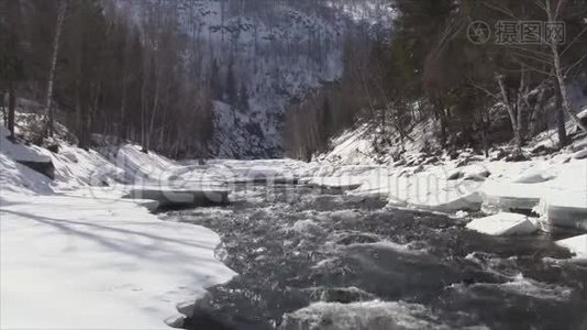 春天河水在流视频