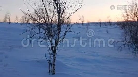 芬兰拉普兰美丽的冬季景观视频