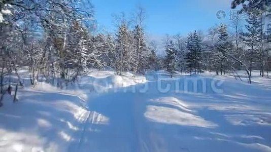 芬兰拉普兰美丽的冬季景观视频