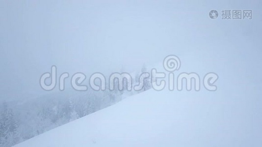 在雪山针叶林中飞过暴风雪，不舒服的冬天天气。视频