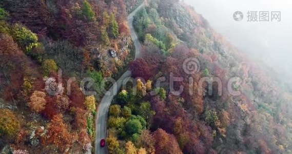 在五彩缤纷的秋林中，前方的空中俯视着在路上行驶的汽车。 秋天的橙色，绿色，黄色的红色树林视频