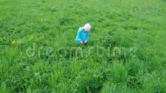 草地上的男孩和小女孩视频