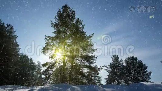 CINE MAGRAPH，4k，冬季森林降雪视频