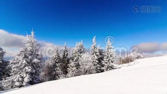 冬山景观，高刺和雪视频