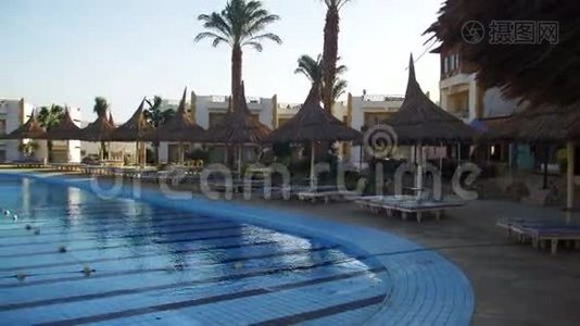 埃及阳光酒店度假村，配有蓝色游泳池、棕榈树和日光浴床视频