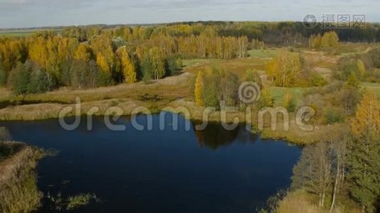 五彩缤纷的秋景。自然背景视频