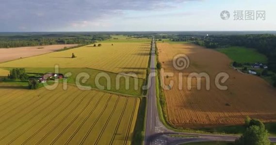 令人惊叹的夏季景观的空中镜头。 上面的田野和草地。视频