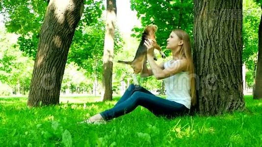 快乐的女人和一只狗猎犬在大自然中玩耍视频