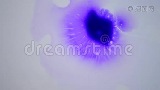 美丽的传播紫色墨水滴视频