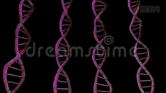 4K提取DNA双螺旋。视频