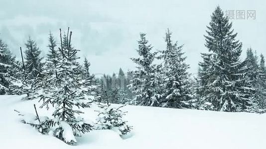美丽的冬季景观，白雪覆盖的树木。 冬天的山。视频