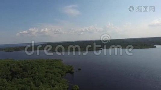 亚马逊，巴西，南美洲的湿地视频