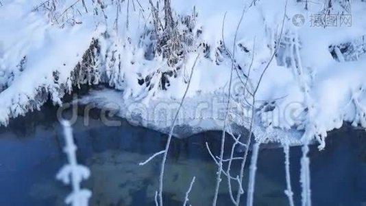 冬季森林溪流，雪草，自然，树木，美丽的景观视频