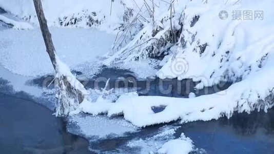 冬天的森林溪流，大自然的雪草和树木，美丽的风景视频