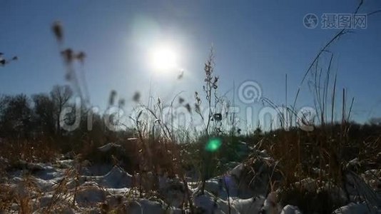 冬天的干草在雪地里的风景自然雪视频