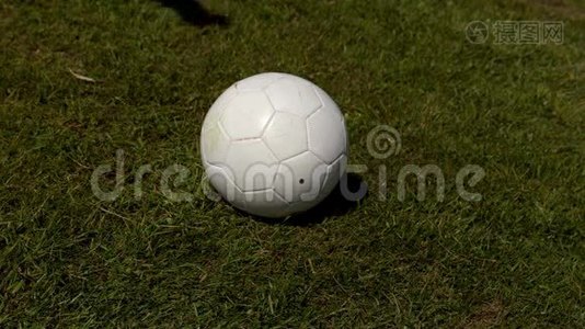 足球运动员在草地上踢球视频