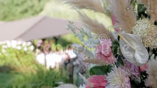 美丽的潘潘草和玫瑰拱门视频