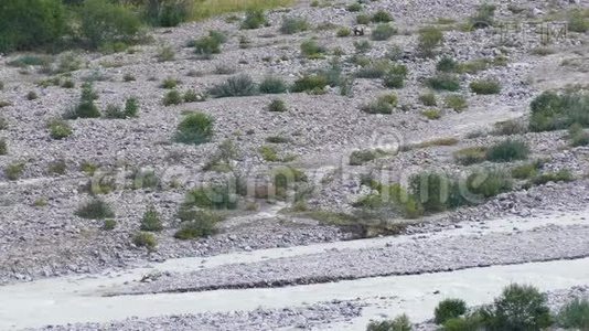 山生河视频