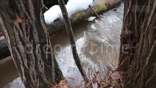 小溪在春天融雪视频